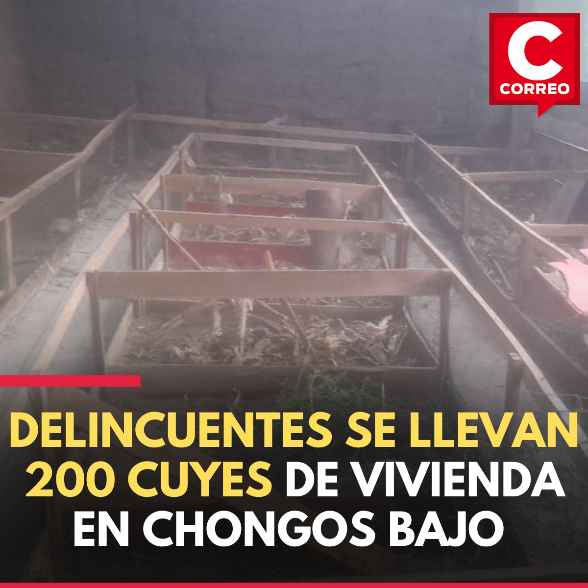 596702628_847754501440901_7575971746144055843_n