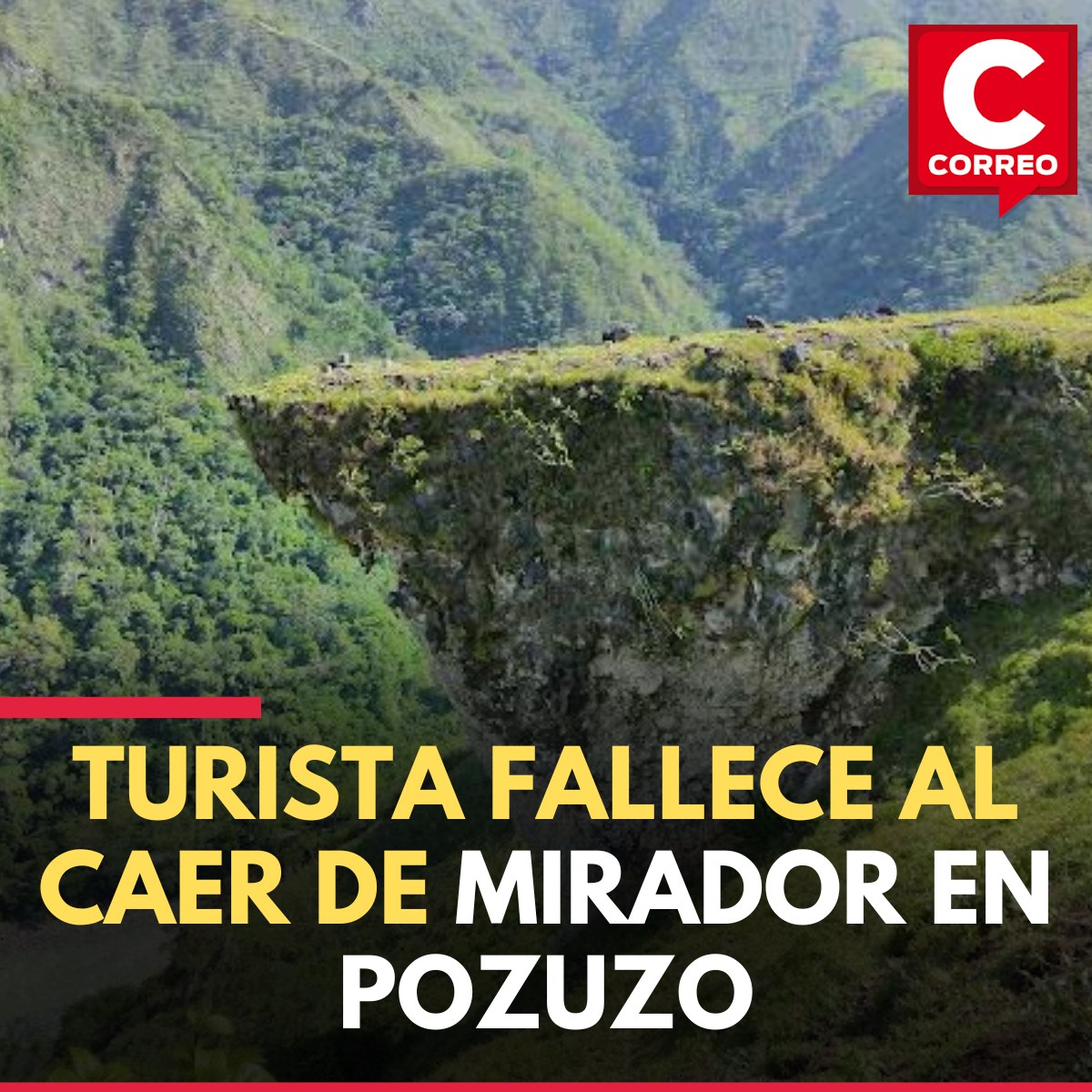 597373020_847757634773921_2257187130656252575_n